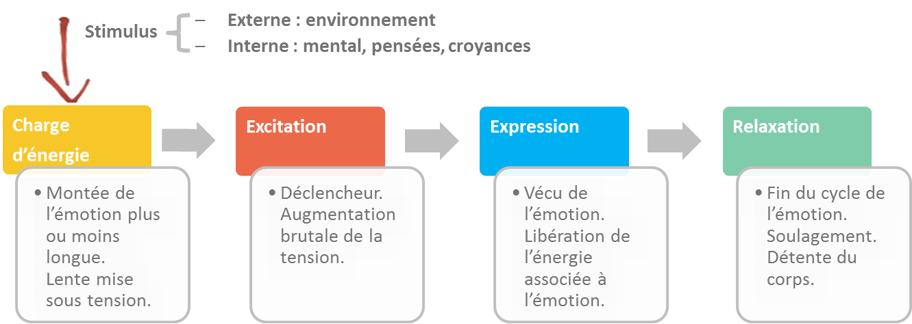 description-fonctionnement-emotion